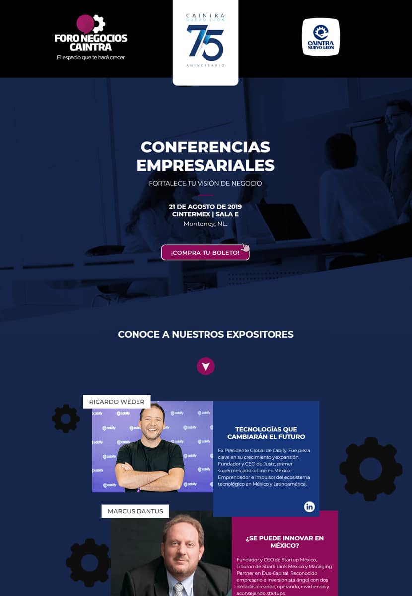 portafolio de diseño programador web México