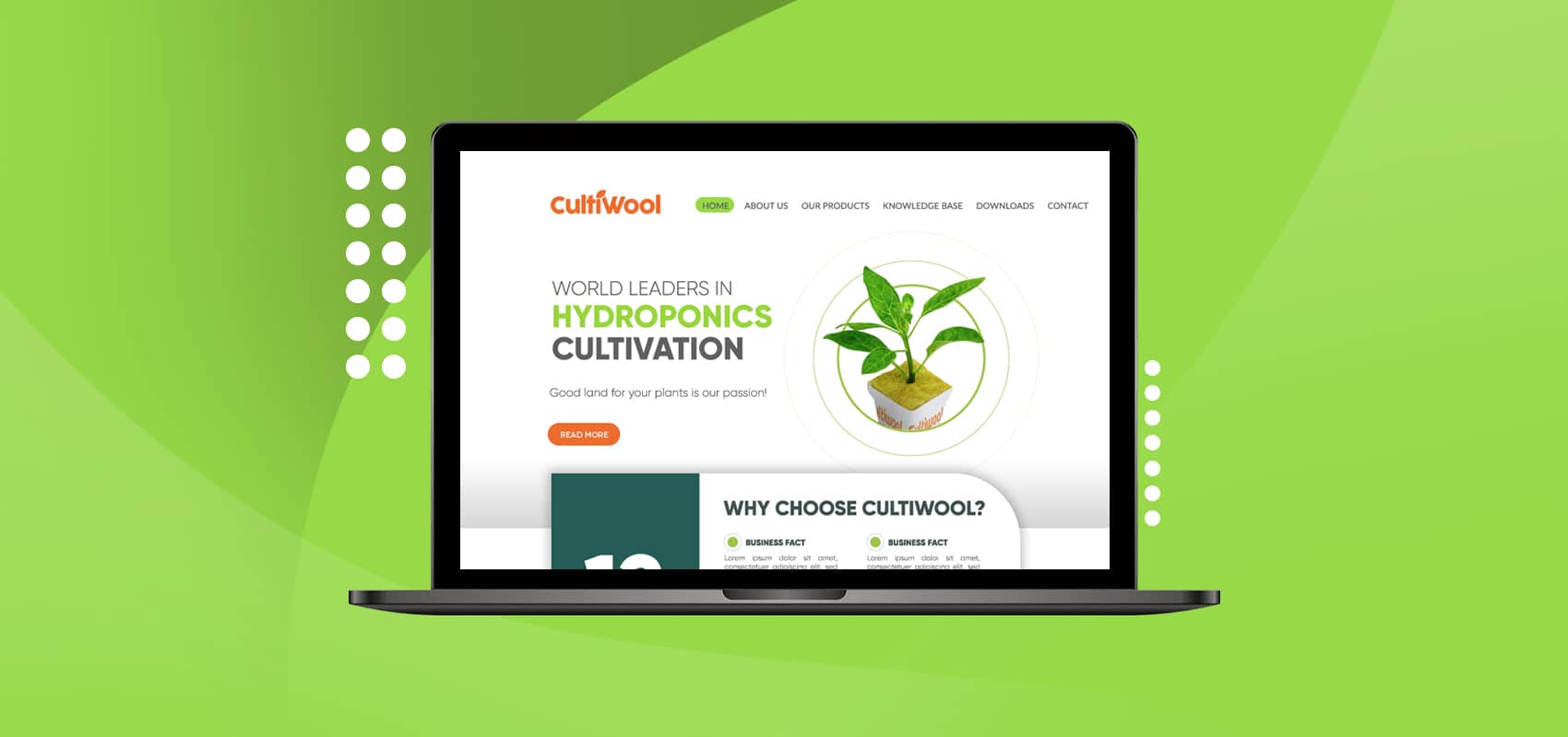 Cultiwool, Hydroponics cultivation