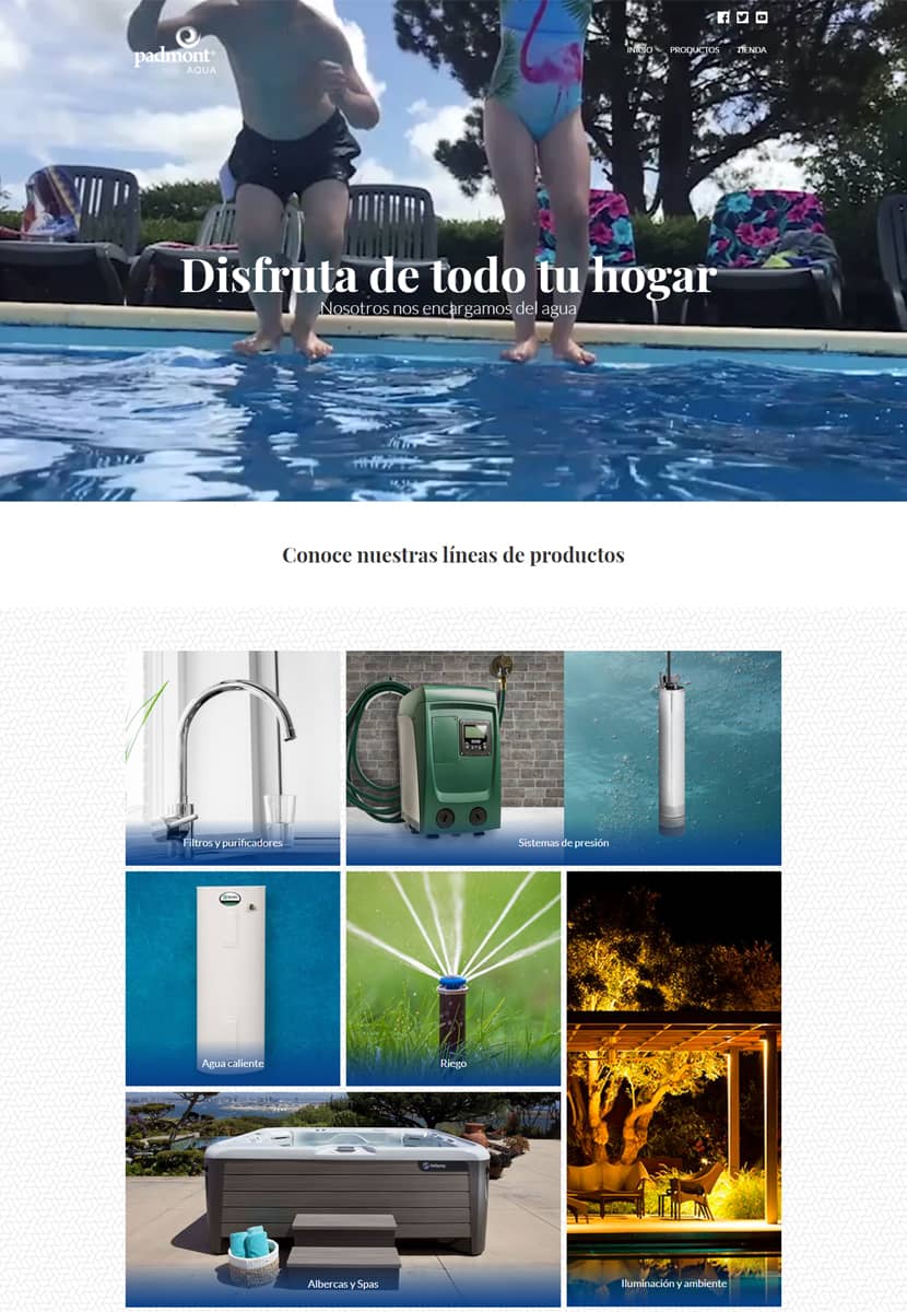 Diseño de página web padmont